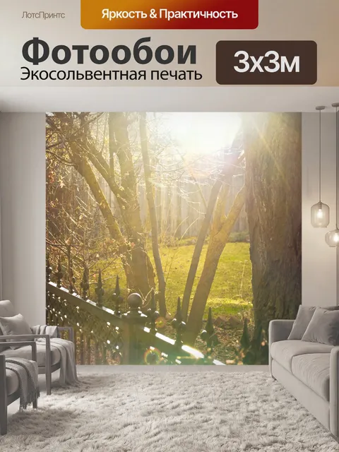 Фотообои ВС и забор