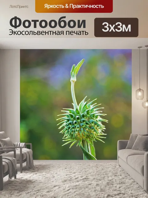 Фотообои молодые зеленые сорняков помпон