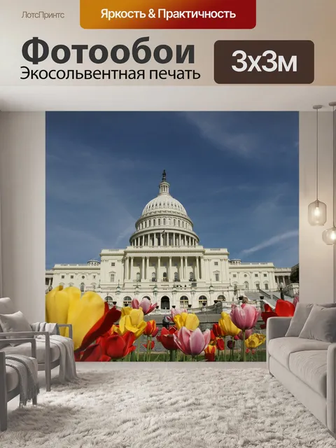 Фотообои Белый дом