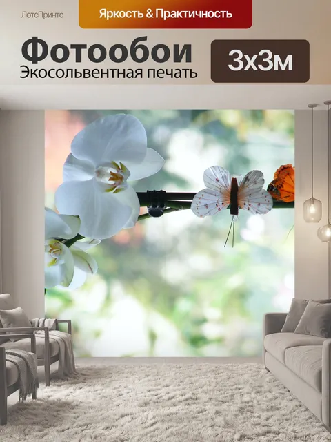 Фотообои Орхидея