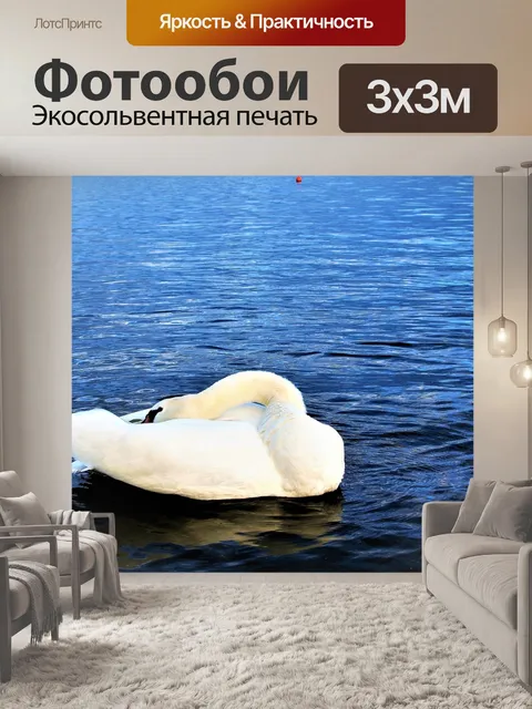 Фотообои Лебедь