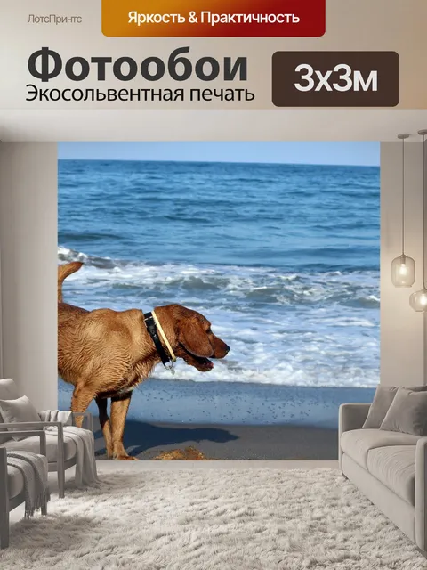 Фотообои Собака