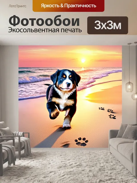 Фотообои восход солнца, когда щенок бернского зенненхунда, играющий на берегу морского пляжа, бегает по песку…