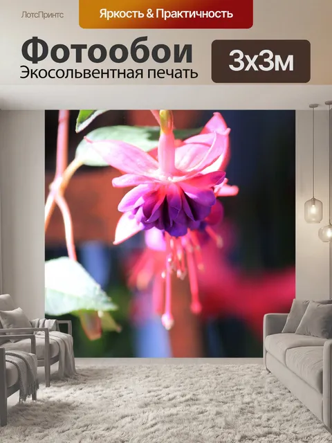 Фотообои фиолетовый и розовый цветок