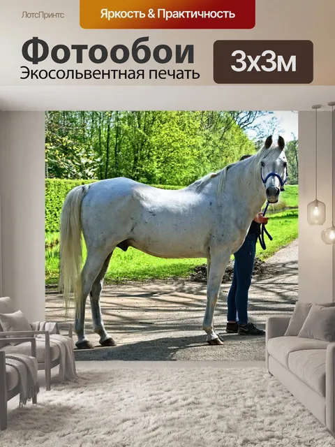 Фотообои Белая лошадь