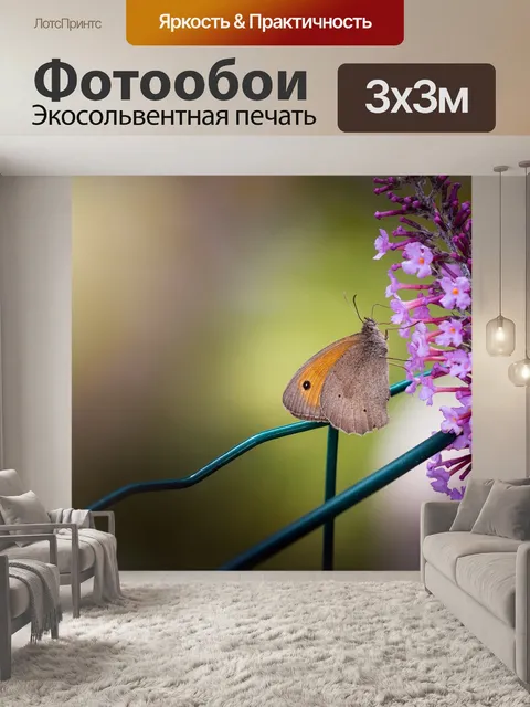 Фотообои Бабочка
