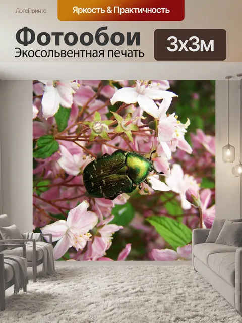 Фотообои Жук-роза