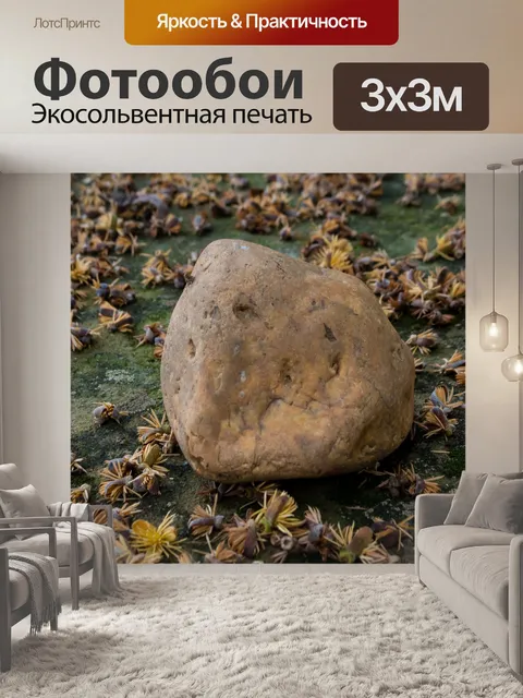 Фотообои Камень
