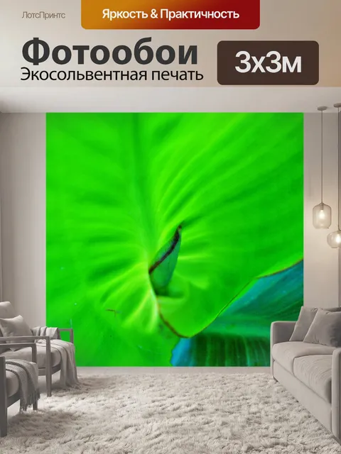Фотообои полупрозрачный Канна лист