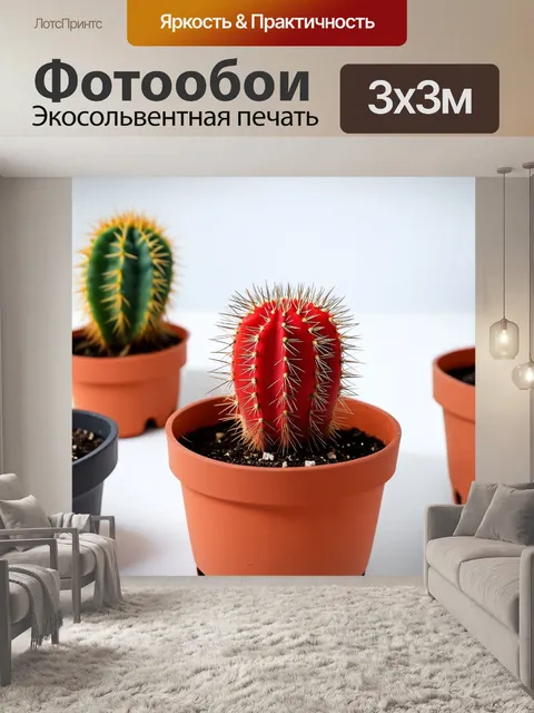 Фотообои крошечные красные кактусы с иголками, растущие в контейнерах на фоне белого стола