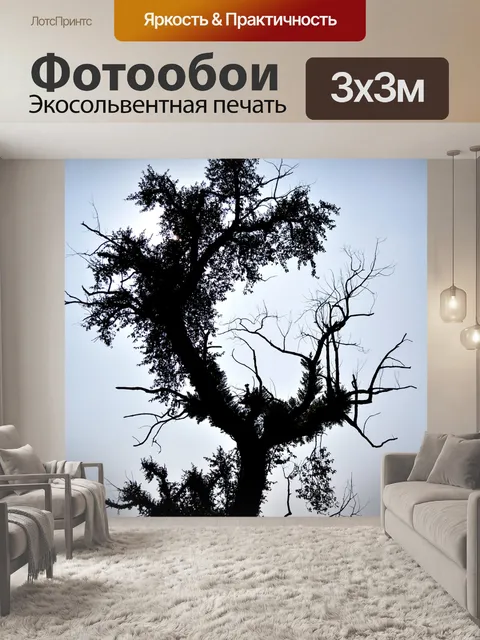 Фотообои Старое дерево