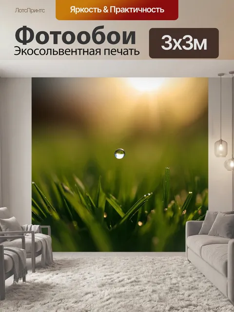 Фотообои капелька росы, сверкающая на утреннем трава, с мягким блеском в лучах рассвета