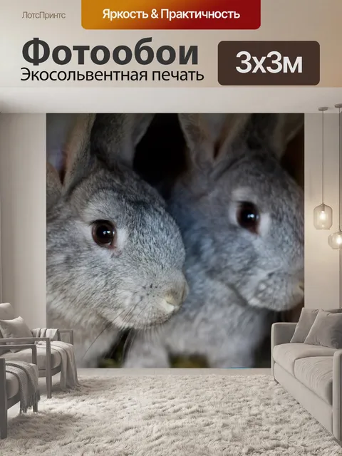 Фотообои Кроликов
