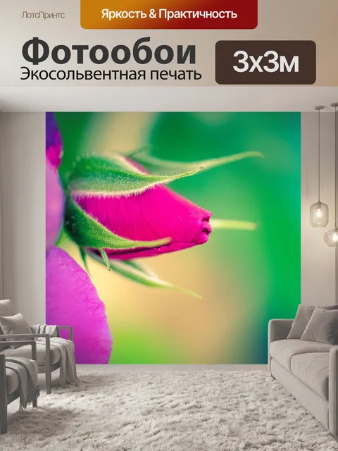 Фотообои Роза