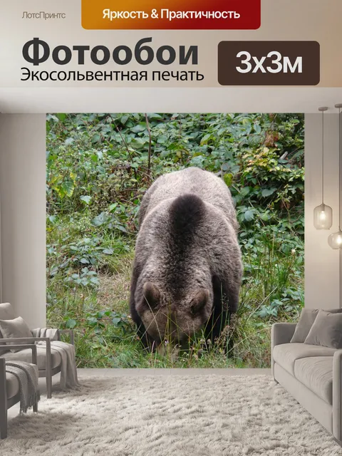 Фотообои Нести