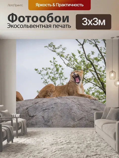 Фотообои Лев