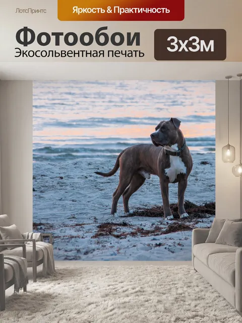 Фотообои Собака