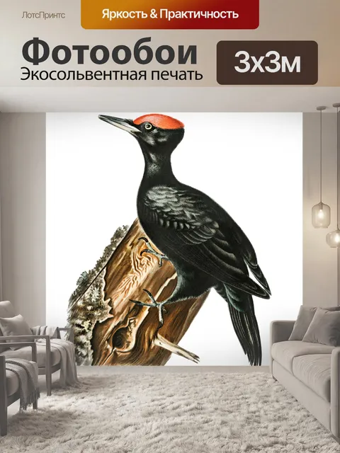 Фотообои Черный дятел птица клипарт