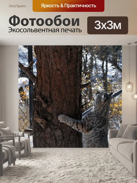 Фотообои Bobcat Восхождение Дерево