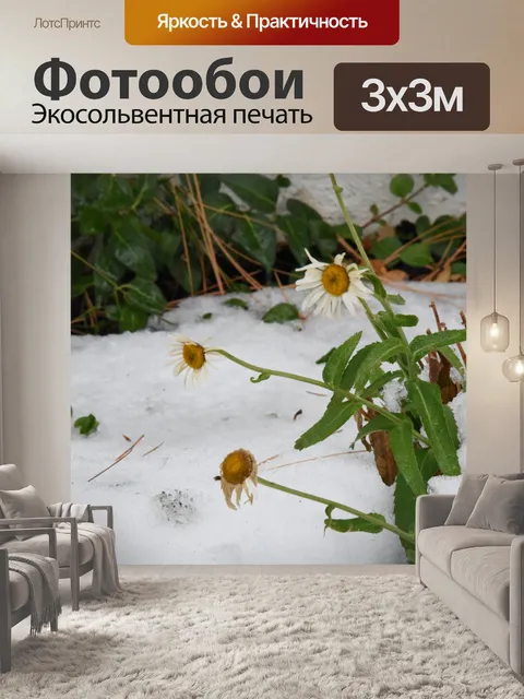 Фотообои Цветы Snow Cold Winter
