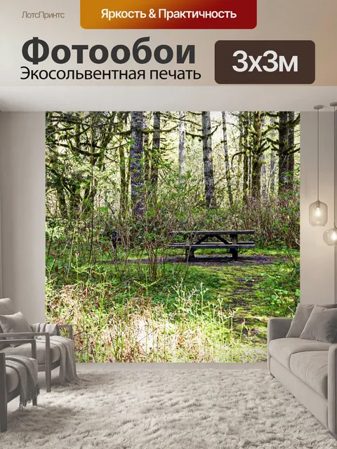 Фотообои Стол для пикника в лесу
