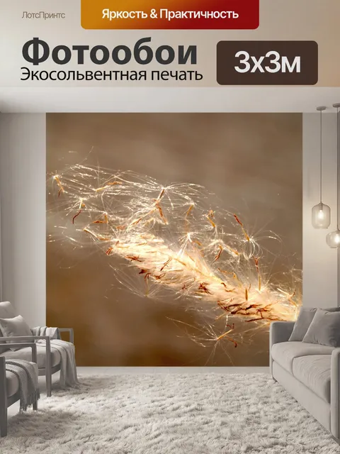 Фотообои Сухой дикий цветок