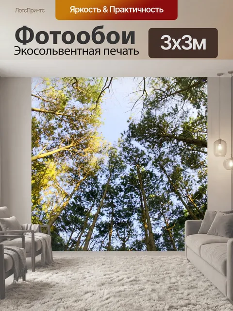 Фотообои кемпинг в сосновом Форрест на Фу Хин Рон