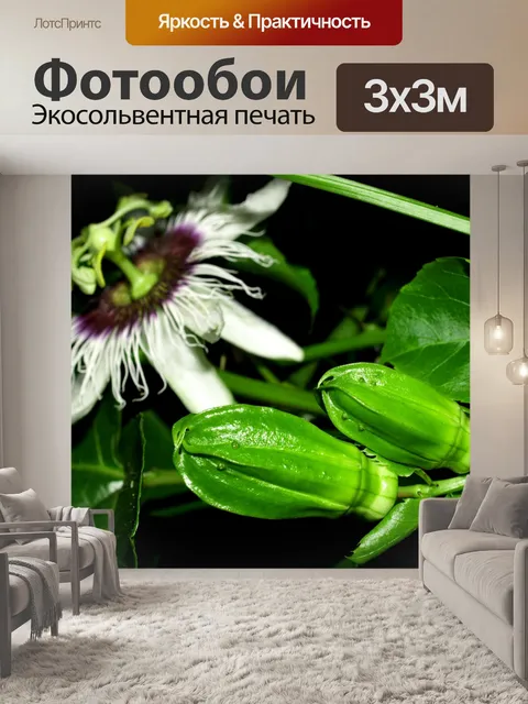 Фотообои Цветок маракуйи фото