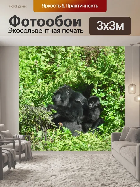Фотообои Серебряная обложка