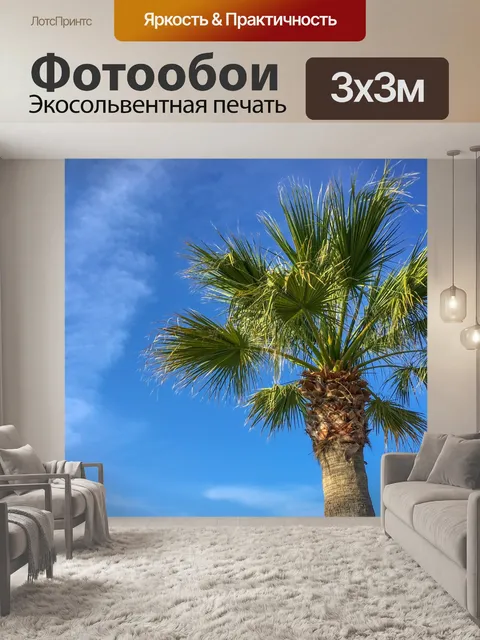 Фотообои Пальма и голубое небо