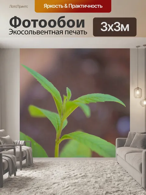 Фотообои Зеленые листовые побеги