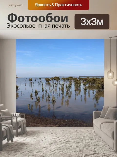 Фотообои Мангровые заросли