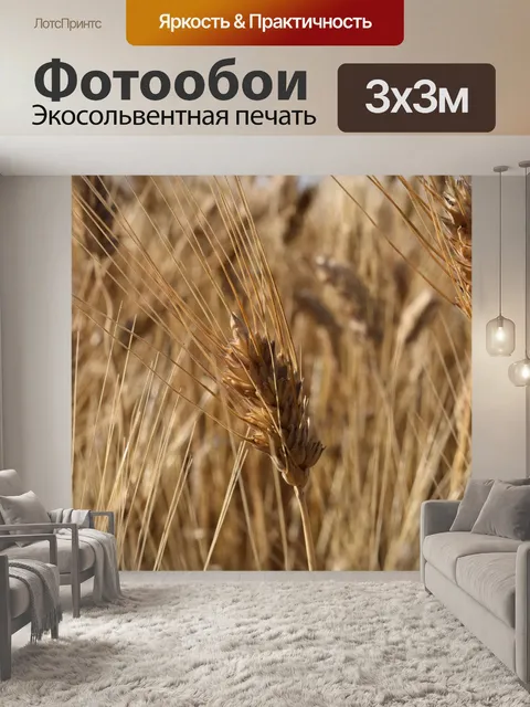 Фотообои Ухо