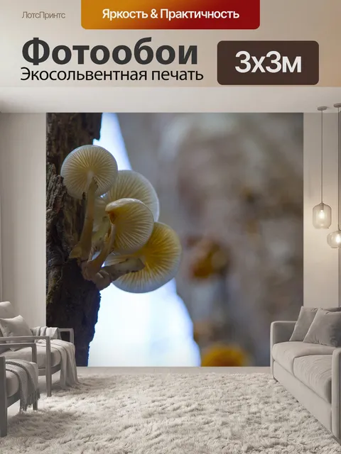 Фотообои грибы