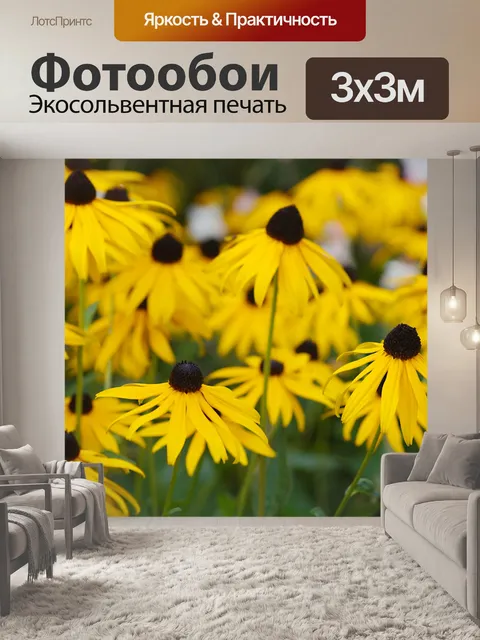 Фотообои Coneflower цветы цветут желтый