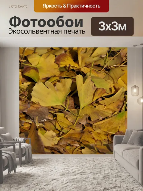 Фотообои Листопадные листья
