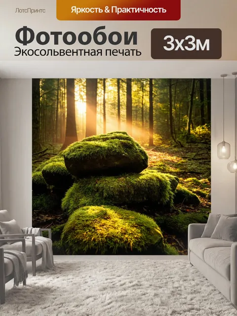 Фотообои утро: утренние лучи проникают через густой лес, создавая игру света и тени на мшистых камнях