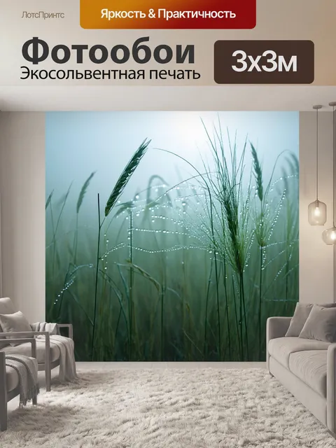 Фотообои камыш в густом тумане
