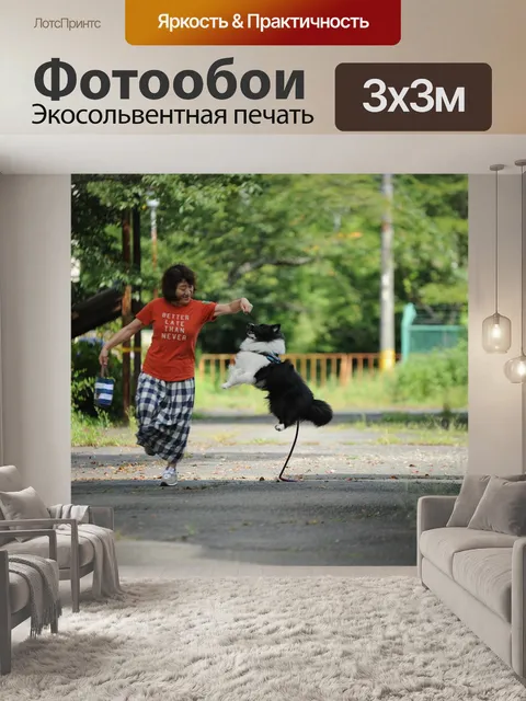 Фотообои Собака