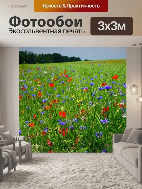 Фотообои Маковое поле