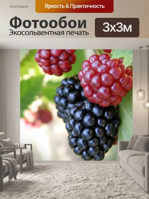 Фотообои Ежевика