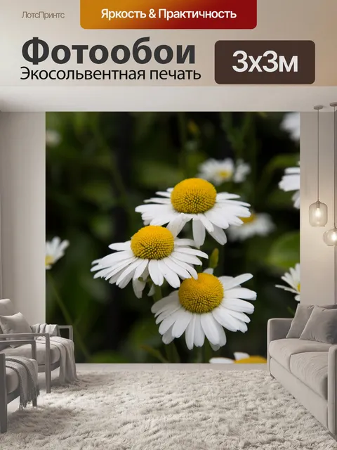 Фотообои Дейзи цветы