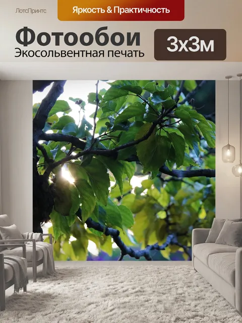 Фотообои солнечные лучи сквозь листья