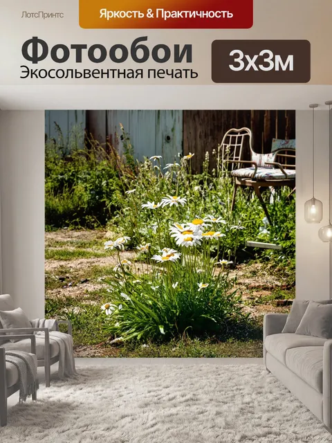 Фотообои ромашки в старом, заброшенном саду с рядом увядающих растений и ветхой садовой мебелью