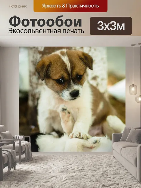 Фотообои Милый питомец