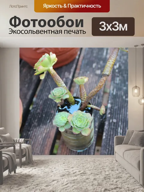 Фотообои Еда