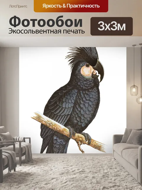 Фотообои Черный какаду Винтаж клипарт