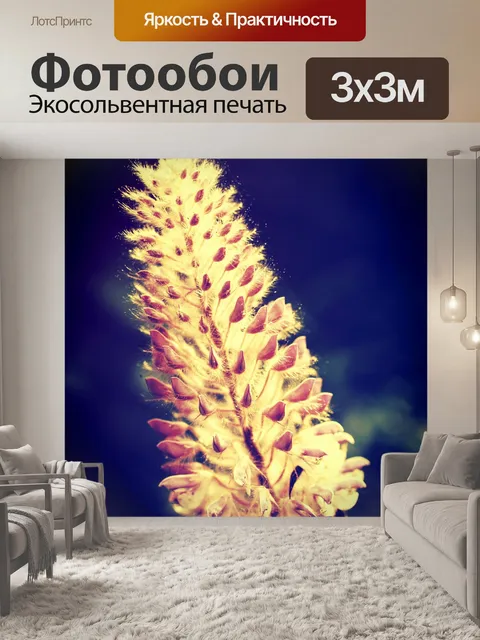 Фотообои Красивый цветок