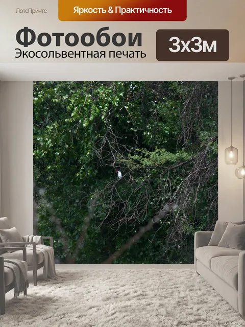 Фотообои Синяя птица зимородок на ветке