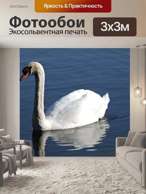Фотообои Лебедь